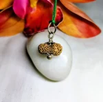15 Mukhi Rudraksha
