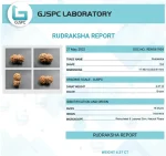 15 Mukhi Certificate