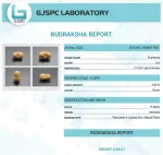 17 Mukhi lab Certificate
