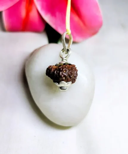 18 Mukhi Rudraksha