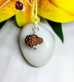 18 Mukhi Rudraksha