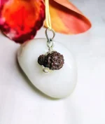 18 Mukhi Rudraksha