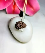 18 Mukhi Rudraksha