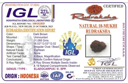 18 Mukhi lab Certificate