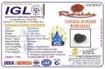 18 Mukhi Rudraksha