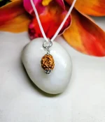 2 Mukhi Rudraksha