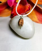 2 Mukhi Rudraksha