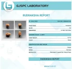 2 Mukhi lab Certificate