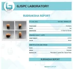 2 Mukhi lab Certificate