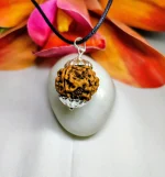 4 Mukhi Rudraksha