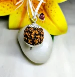 4 Mukhi Rudraksha