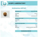 4 Mukhi lab Certificate
