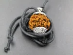4 Mukhi lab Rudraksha