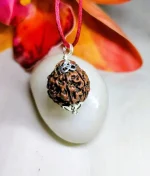 6 Mukhi Rudraksha