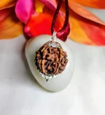 6 Mukhi Rudraksha
