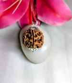 6 Mukhi Rudraksha