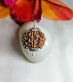6 Mukhi Rudraksha