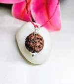 6 Mukhi Rudraksha