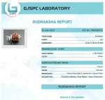6 Mukhi lab Certificate