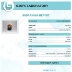 6 Mukhi lab Certificate