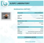 6 Mukhi lab Certificate