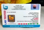7 Mukhi Certificate