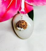 7 Mukhi Rudraksha