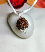 7 Mukhi Rudraksha