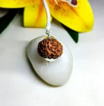 7 Mukhi Rudraksha