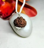 7 Mukhi Rudraksha