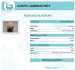 7 Mukhi lab Certificate