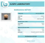 7 Mukhi lab Certificate