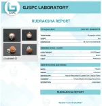 7 Mukhi lab Certificate