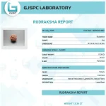 7 Mukhi lab Certificate