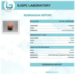 7 Mukhi lab Certificate