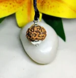 8 Mukhi Rudraksha