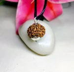 8 Mukhi Rudraksha