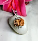 8 Mukhi Rudraksha