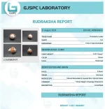 8 Mukhi lab Certificate