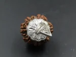8 Mukhi Rudraksha