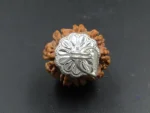 8 Mukhi Rudraksha