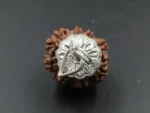 8 Mukhi Rudraksha