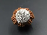 8 Mukhi Rudraksha