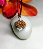 9 Mukhi Rudraksha