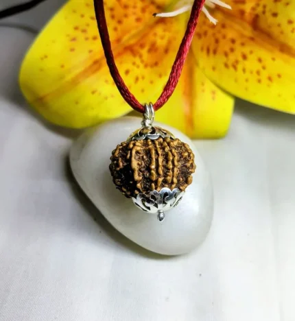 9 Mukhi Rudraksha