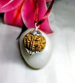 9 Mukhi Rudraksha