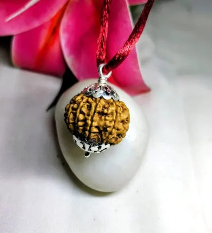 9 Mukhi Rudraksha