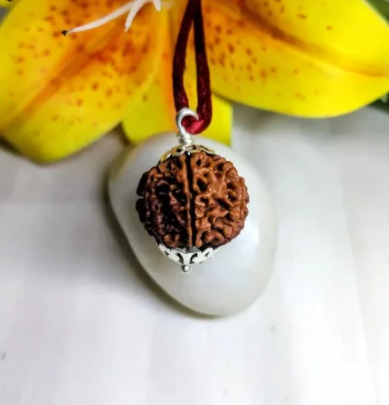 9 Mukhi Rudraksha