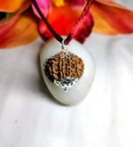 9 Mukhi Rudraksha