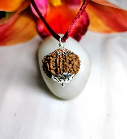 9 Mukhi Rudraksha
